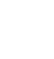 Hurtownia Borówka - logo