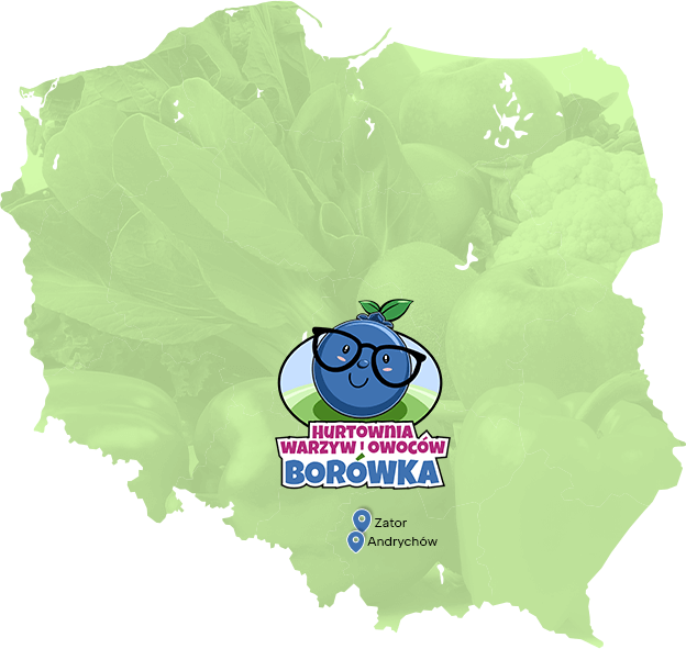 Sprzedajemy 10 ton warzyw tygodniowo