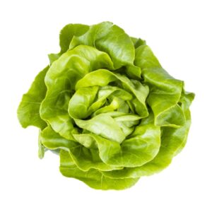 Sałata masłowa Hurtownia warzyw i owoców Borówka