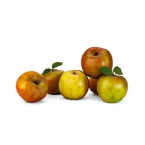 Jabłka szara reneta Hurtownia warzyw i owoców Borówka