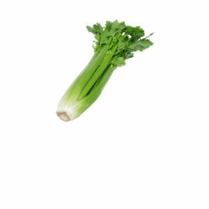 Seler naciowy Hurtownia Warzyw i Owoców Borówka