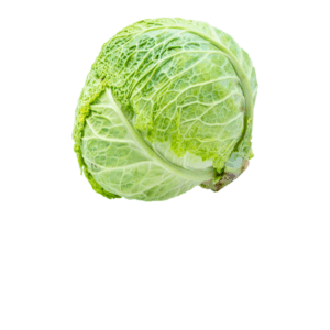Kapusta młoda Hurtownia Warzyw i Owoców Borówka