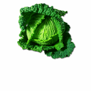 Kapusta włoska Hurtownia Warzyw i Owoców Borówka