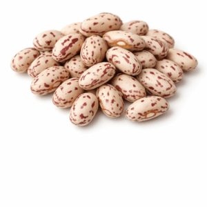 Fasola Kolorowa Orzeł Hurtownia Borówka