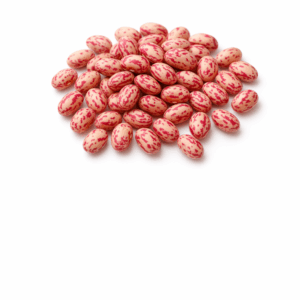 Fasola Kolorowa Malinka Hurtownia Borówka